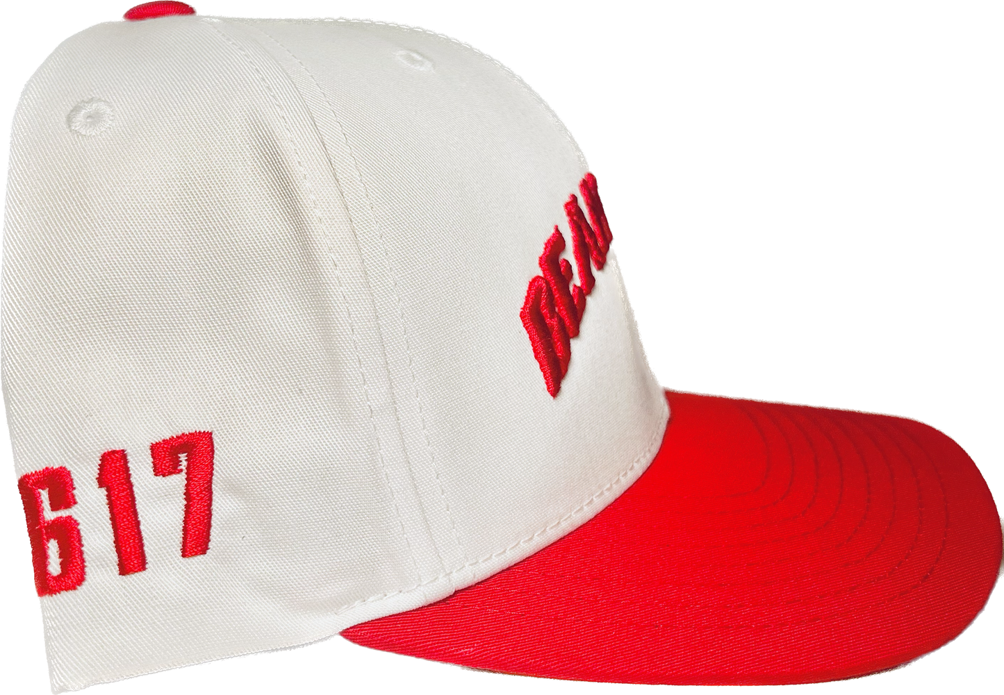 Beantown Sox Hat