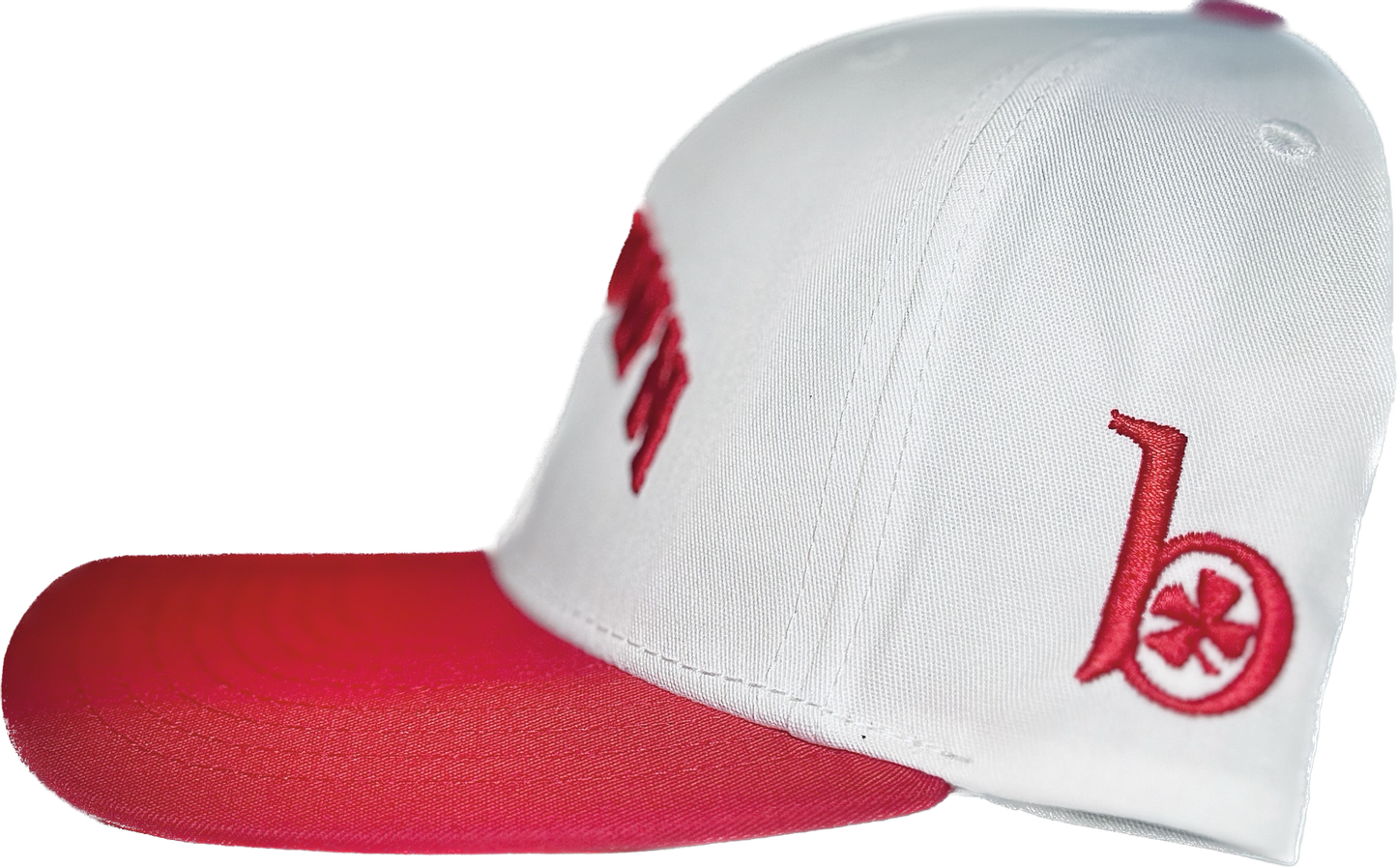 Beantown Sox Hat